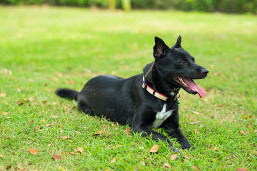 Auto Insurance Agency «Safe Street Insurance», reviews and photos