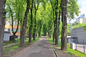 Park Wełnowiecki w Katowicach image