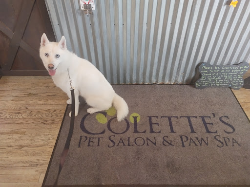 Colette's Pet Salon & Paw Spa