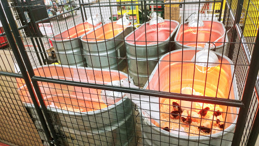 Home Improvement Store «Tractor Supply Co.», reviews and photos, 2970 PA-940, Pocono Summit, PA 18346, USA