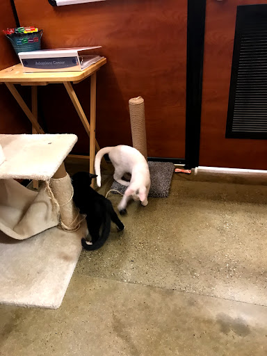 Pet Supply Store «PetSmart», reviews and photos, 9905 E Independence Blvd, Matthews, NC 28105, USA