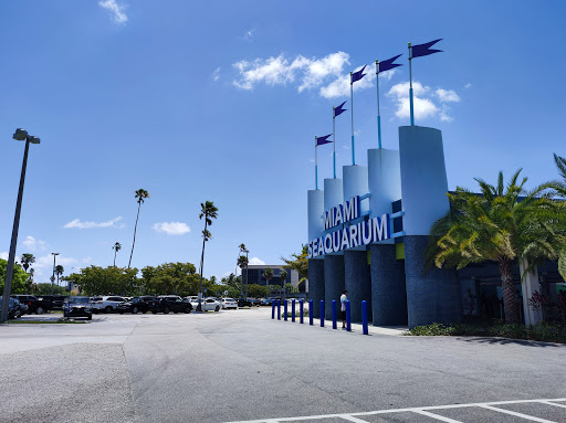 Aquarium «Miami Seaquarium», reviews and photos, 4400 Rickenbacker Causeway, Key Biscayne, FL 33149, USA