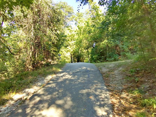 Terry Hershey Trail Parking Lot/ Robin Trail