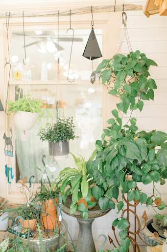 Florist «Island Orchids», reviews and photos, 2204 W Colorado Ave, Colorado Springs, CO 80904, USA