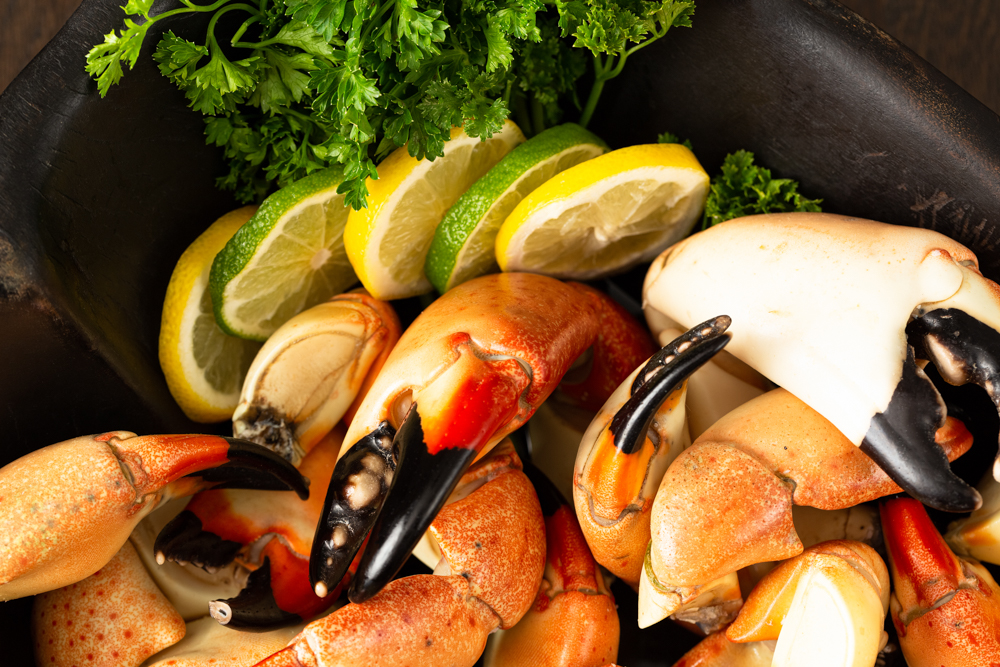 Pata's Stone Crab 33334