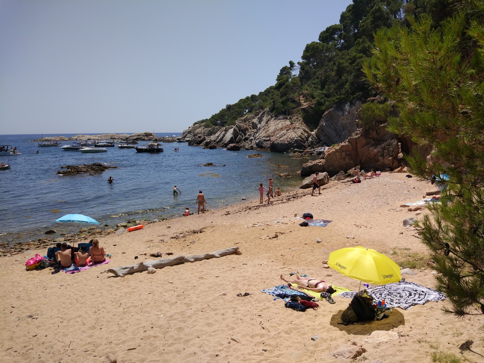 Cala del Crit'in fotoğrafı küçük koy ile birlikte