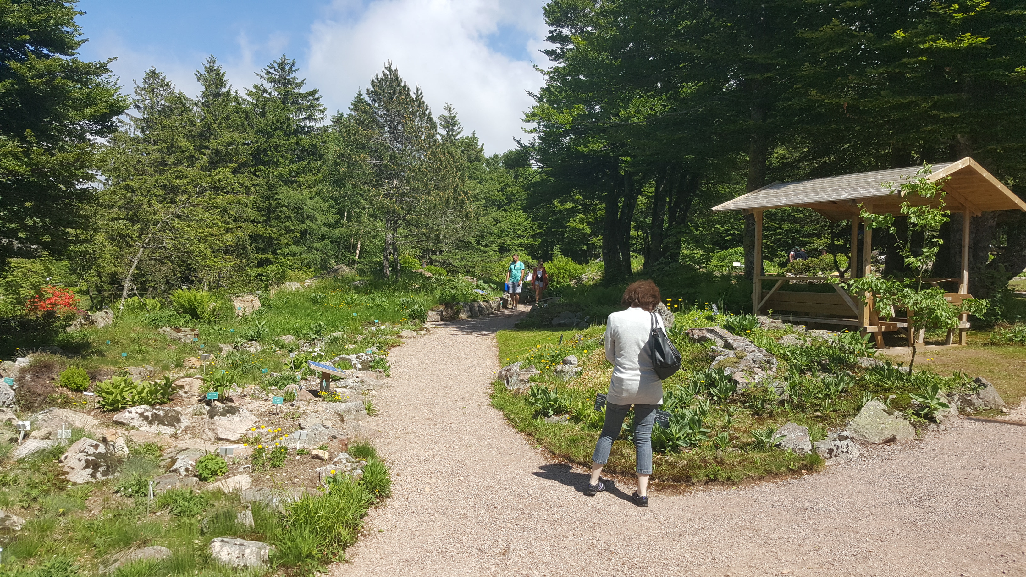 Photo n° 40 de l'avis de Jean-Sébastien.O fait le 23/06/2019 à 16:49