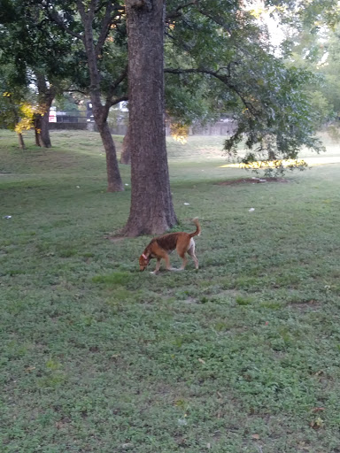 Park «Turtle Creek Parkway Park», reviews and photos, Bowen St, Dallas, TX 75219, USA