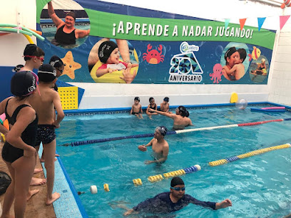 Escuela de natación Tampico Aquatics Center
