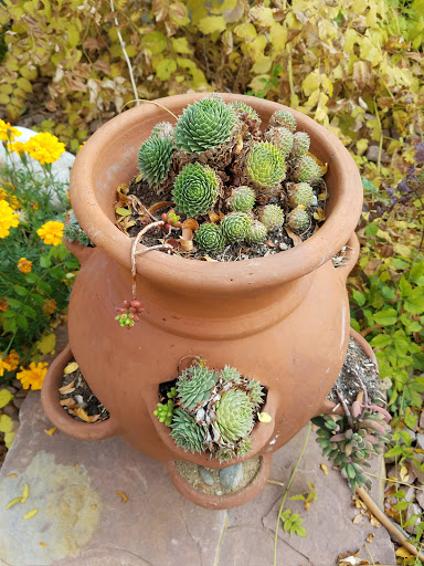 Golf Course «City Park Golf Course», reviews and photos, 2500 York St, Denver, CO 80205, USA