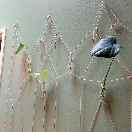 Coffee Shop «Central Coffee Co», reviews and photos, 719 Louise Ave, Charlotte, NC 28204, USA