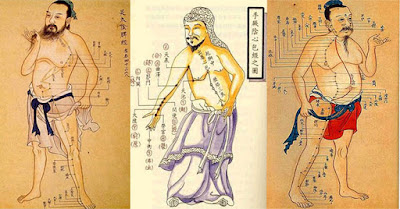 Julie Peltier - Acupuncture et Médecine traditionnelle chinoise à Marseille