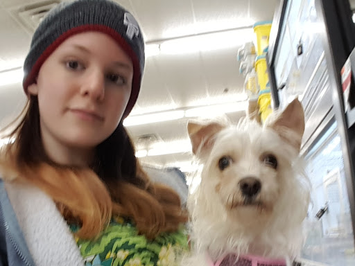 Pet Supply Store «Pet Supplies Plus», reviews and photos, 4024 Bethlehem Pike, Telford, PA 18969, USA