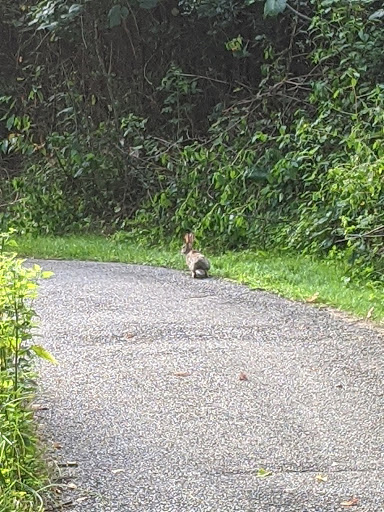 Golf Course «Wicked Woods Golf Club», reviews and photos, 14085 Ravenna Rd, Newbury Township, OH 44065, USA