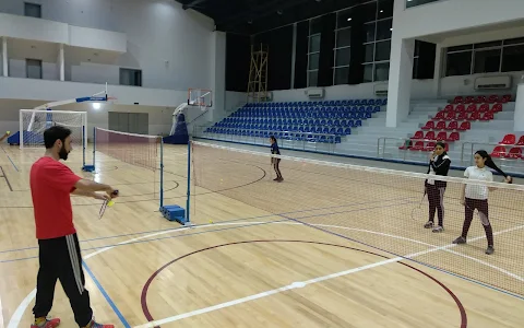 Volan Badminton Club image