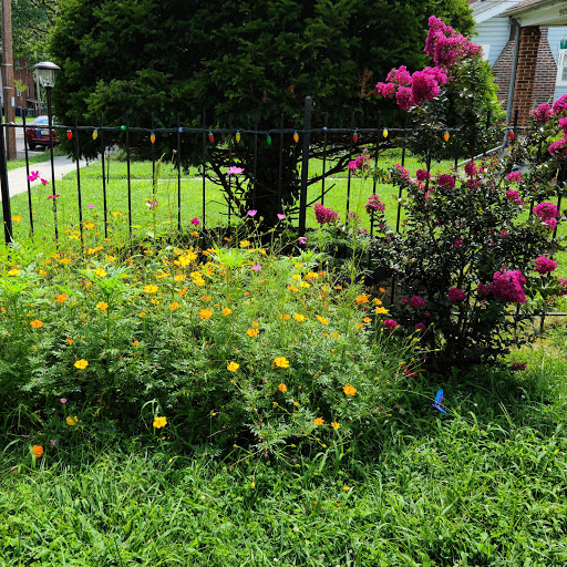 Florist «Convention Floral», reviews and photos, 5932 3rd St NW, Washington, DC 20011, USA