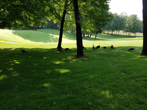 Golf Course «Stonehedge Golf Club», reviews and photos, 15530 M-89, Augusta, MI 49012, USA