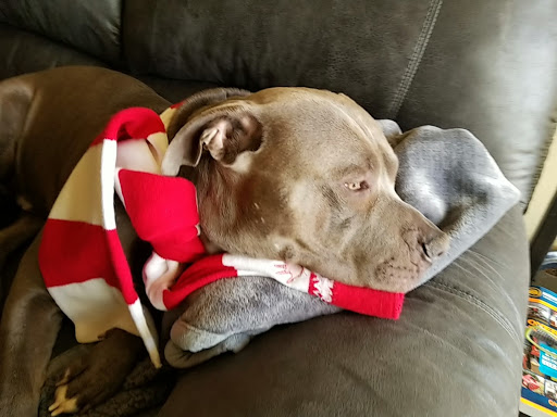 Gym «Planet Fitness», reviews and photos, 880 E 104th Ave, Thornton, CO 80233, USA