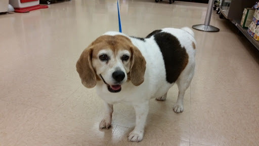 Pet Supply Store «Petco Animal Supplies», reviews and photos, 5631 Grove Blvd, Hoover, AL 35226, USA