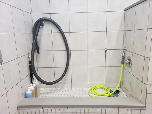 Pet Supply Store «Pet Supplies Plus», reviews and photos, 61 Irving Park Rd, Streamwood, IL 60107, USA