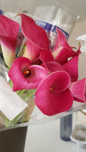 Florist «Associated Wholesale Florist», reviews and photos, 2100 W Mississippi Ave #100, Denver, CO 80223, USA