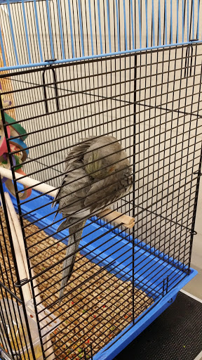 Pet Supply Store «Pet Supplies Plus», reviews and photos, 1937 FL-60, Valrico, FL 33594, USA