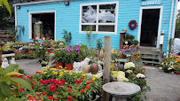 Bonny's Garden Center - Photo 4 - Car repair in Cambridge, MA, Cambridge