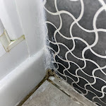 Photo n°7 de l'avis de Ines.e fait le 22/03/2024 à 06:59 sur le  Antille à Cazzago-Ex Polo