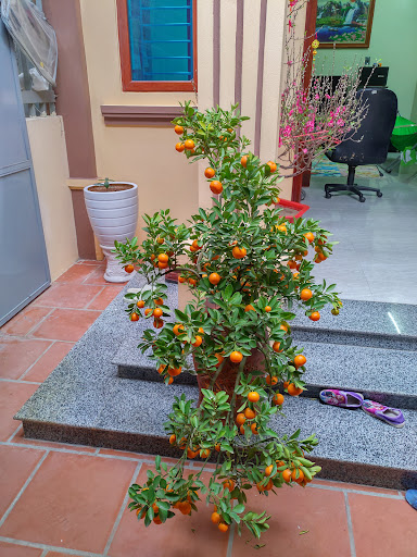 Top 20 chuỗi cửa hàng kepal Quận Hà Đông Hà Nội 2022