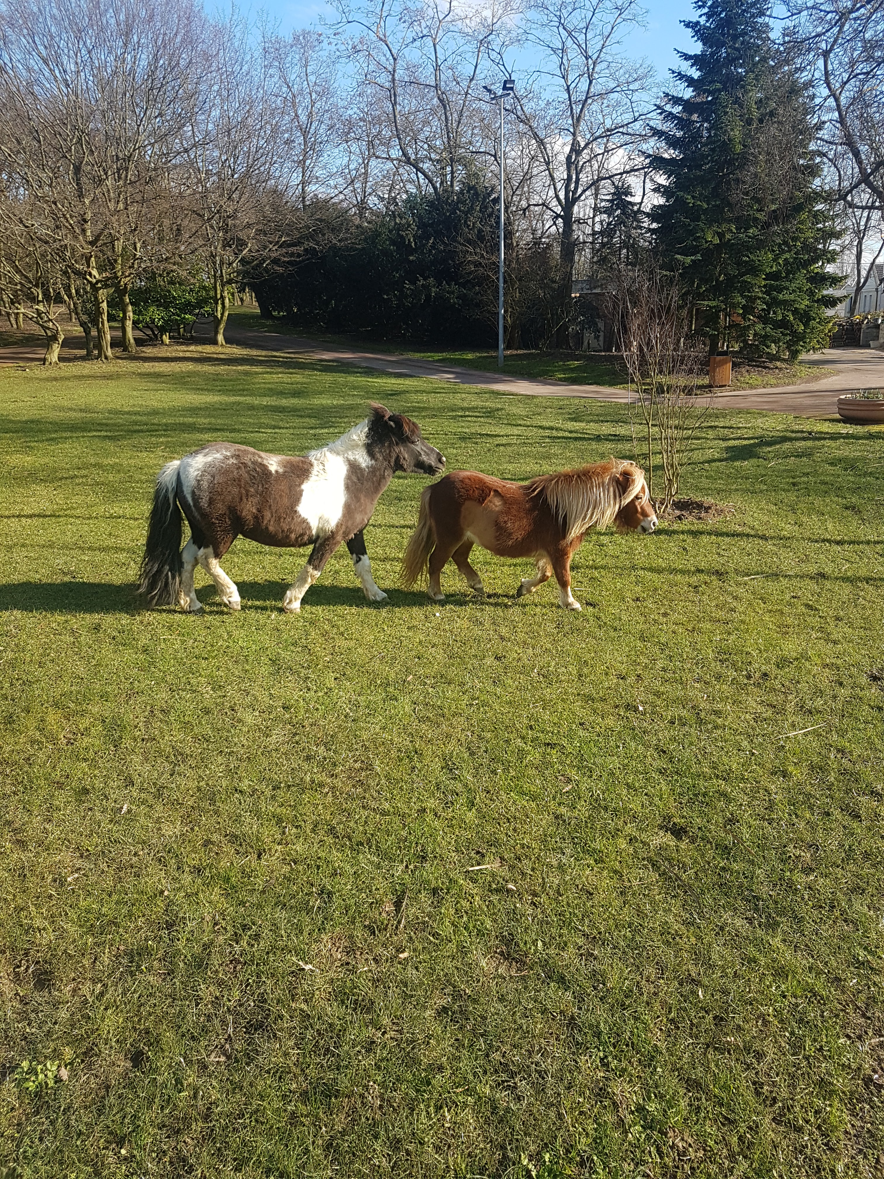Photo n° 1 de l'avis de Minouche.h fait le 06/03/2018 à 16:38