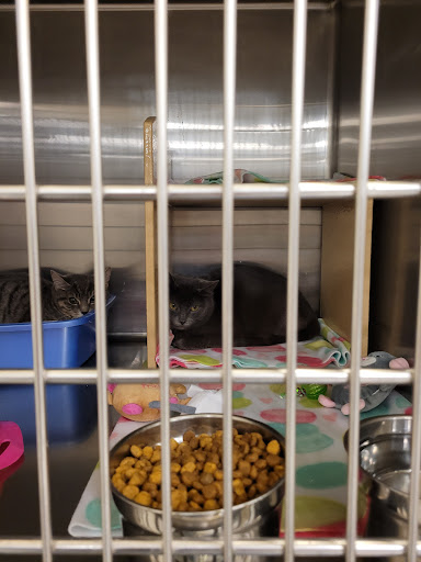 Pet Supply Store «PetSmart», reviews and photos, 1403 E Washington Ave, Union Gap, WA 98903, USA