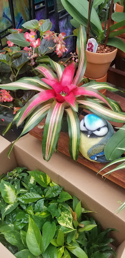 Hardware Store «Proctor Ace Hardware», reviews and photos, 5723 University Blvd W, Jacksonville, FL 32216, USA