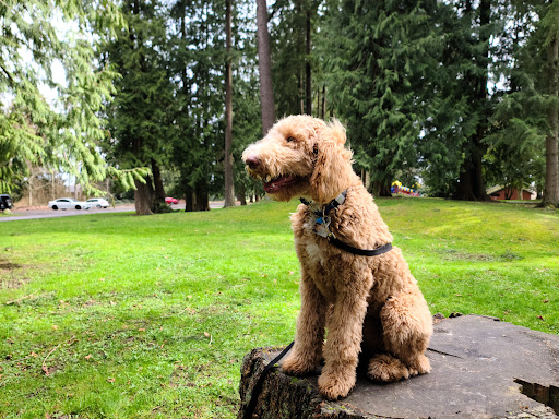 Park «Ferguson Park», reviews and photos, 1330 Ferguson Park Rd, Snohomish, WA 98290, USA