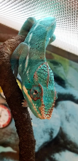 Pet Supply Store «Petco Animal Supplies», reviews and photos, 1753 St Lucie W Blvd, Port St Lucie, FL 34986, USA