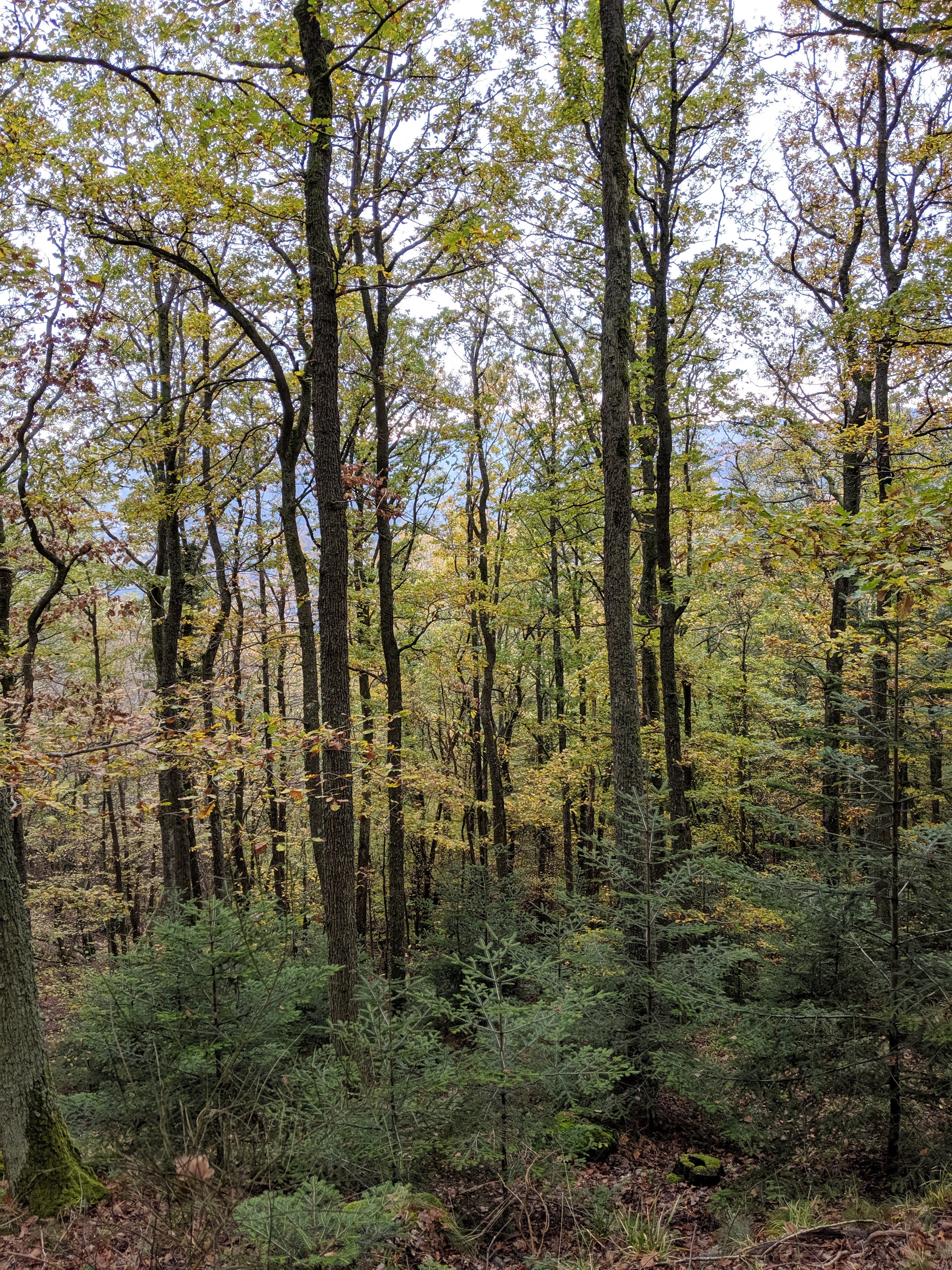 Photo n° 5 de l'avis de aurelien.a fait le 11/11/2019 à 16:50