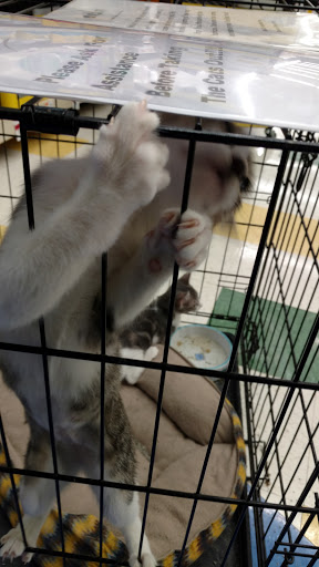 Pet Supply Store «Pet Supplies Plus», reviews and photos, 191 Alps Rd Suite 15, Athens, GA 30606, USA