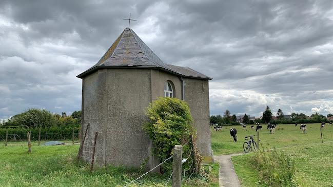 Beoordelingen van Sanctuaire Jésus et Marie in Moeskroen - Kerk