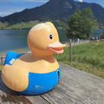 Photo n°2 de l'avis de Brigitte. fait le 25/08/2022 à 20:53 sur le  Rixneralm am See à Schliersee