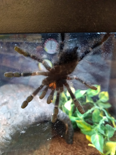 Pet Supply Store «Petco Animal Supplies», reviews and photos, 1220 Commons Cir, Plover, WI 54467, USA