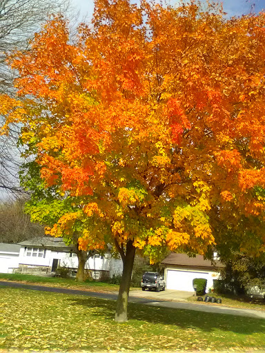 Asian Grocery Store «Asian Midway Foods», reviews and photos, 301 S Park St, Madison, WI 53715, USA
