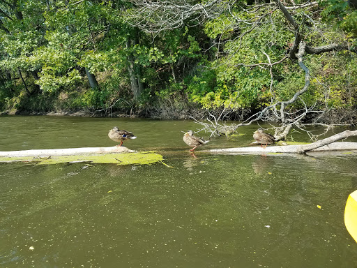Canoe & Kayak Store «BayCreek Paddling Center, Inc.», reviews and photos, 1099 Empire Blvd, Rochester, NY 14609, USA