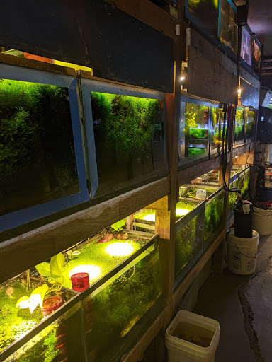 Tropical Fish Store «Ocean Aquarium», reviews and photos, 120 Cedar St, San Francisco, CA 94109, USA