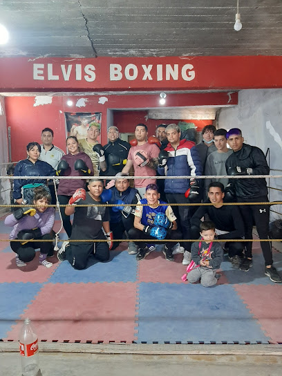 Elvis boxing