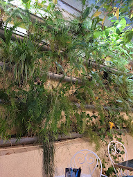 Photo n°34 de BOTANIC à Canet-en-Roussillon ()