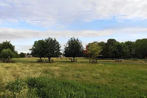 Midsummer Common image