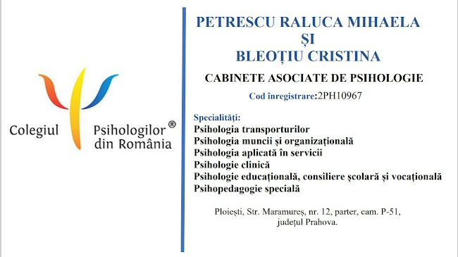 Cabinete asociate de psihologie Petrescu Raluca Mihaela și Bleoțiu Cristina