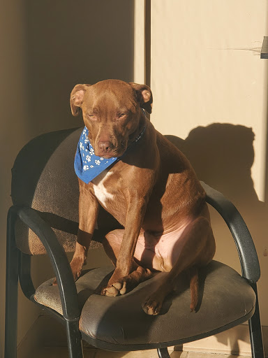 Key Duplication Service «A & S Lock and Safe», reviews and photos, 433 Canton Rd #102, Cumming, GA 30040, USA