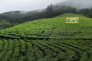 Munnar, Kerala image