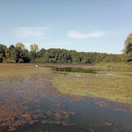 Photo n° 3 de l'avis de Route.a fait le 10/10/2023 à 13:05 pour Montreux-château à Montreux-Château