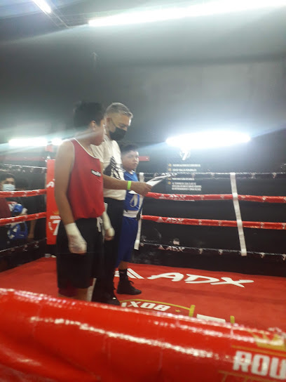 Round 7 boxing acadamy - C. Fernando de Tapia #2, colonia, 76800 San Juan del Río, Qro., Mexico